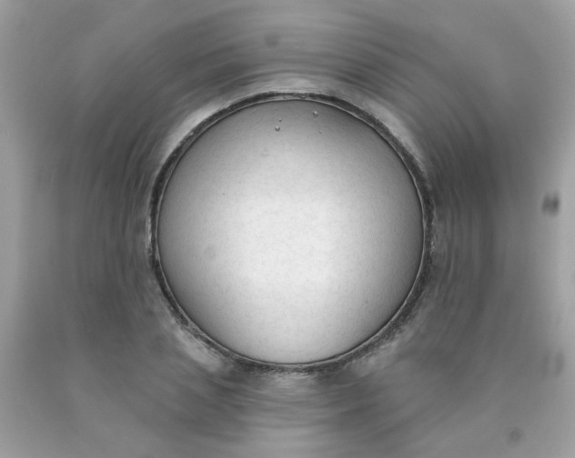 X0000090420837200707272109