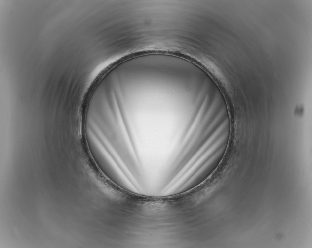 X0000090420838200707272109