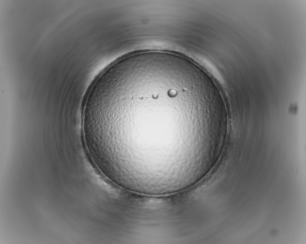 X0000090420839200707272109