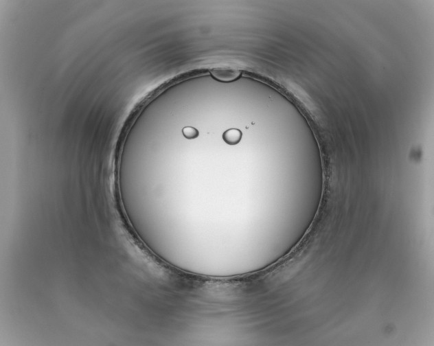 X0000090420840200707272109