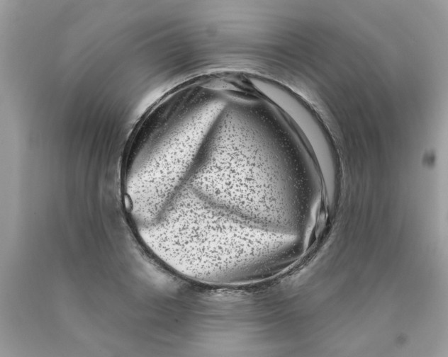 X0000090420842200707272109