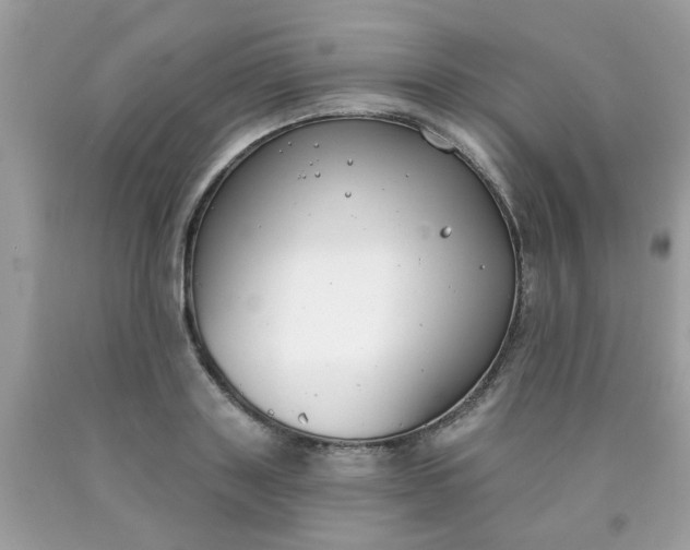 X0000090420843200707272109