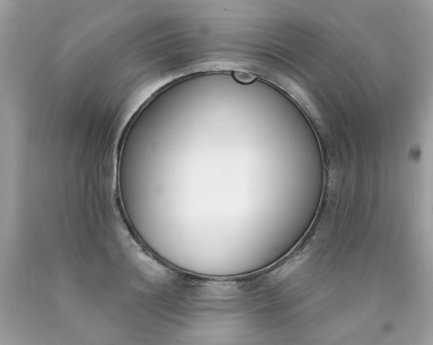 X0000090420844200707272109