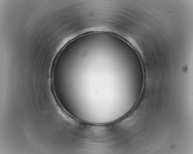 X0000090420845200707272109