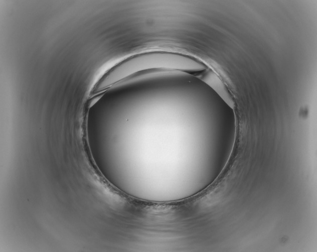 X0000090420846200707272109