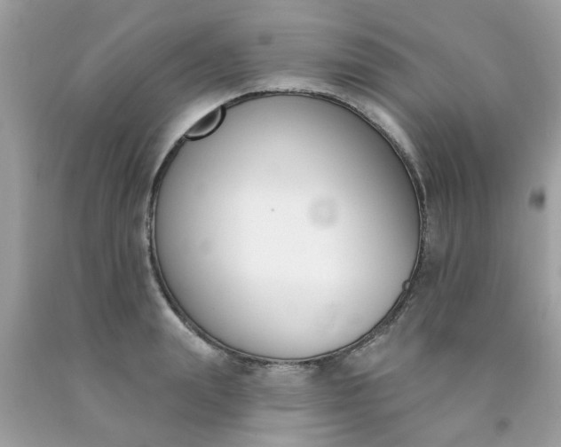 X0000090420847200707272109