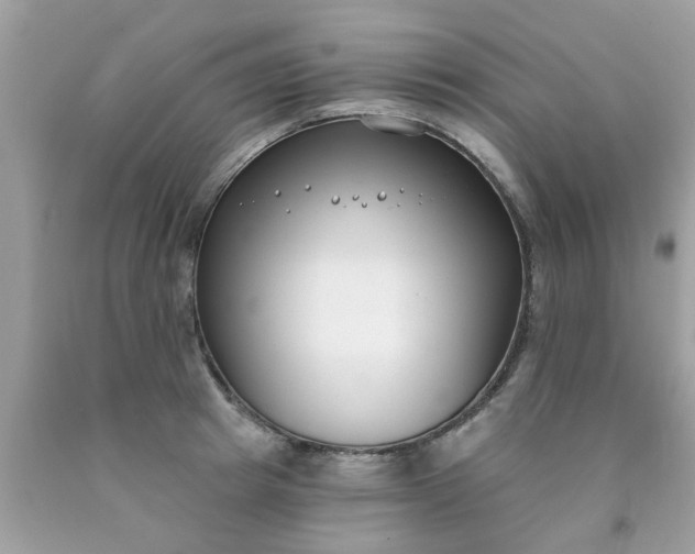 X0000090420849200707272109