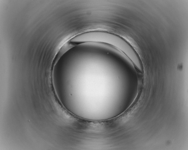 X0000090420850200707272109