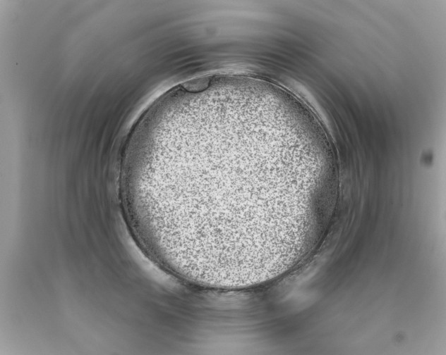 X0000090420851200707272109