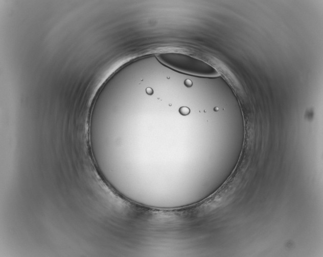 X0000090420852200707272109