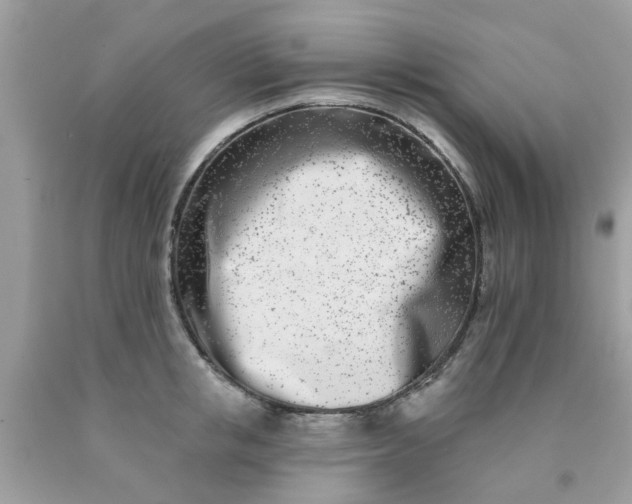 X0000090420853200707272109