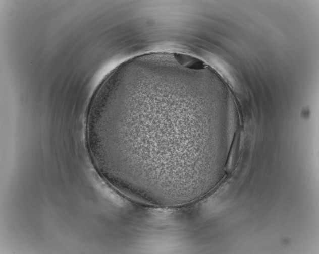 X0000090420854200707272109