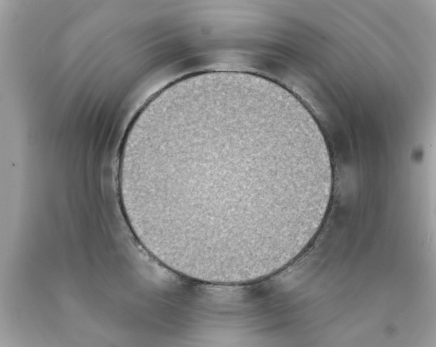 X0000090420856200707272109