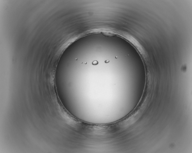 X0000090420857200707272109