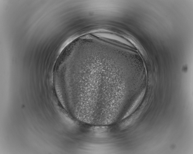 X0000090420858200707272109