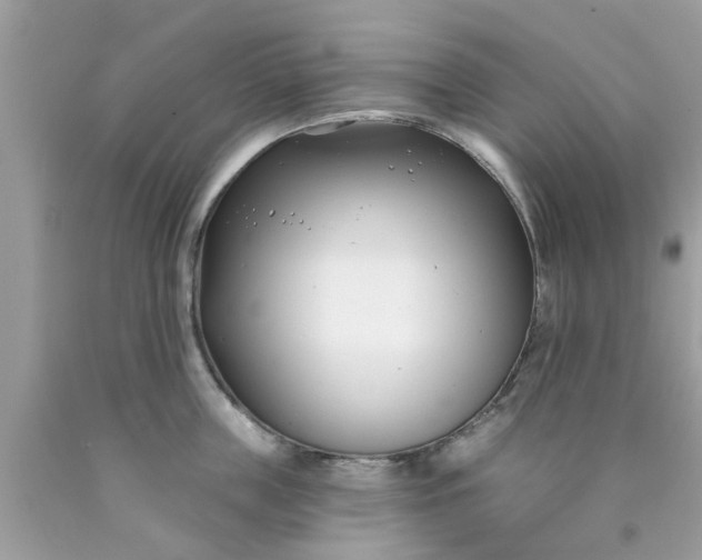 X0000090420859200707272109