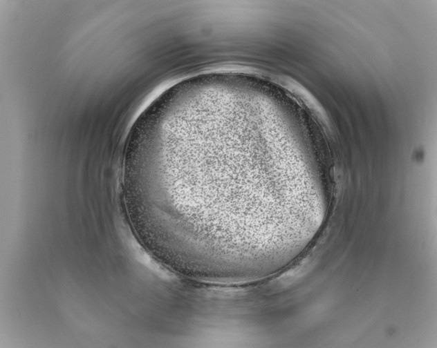 X0000090420860200707272109