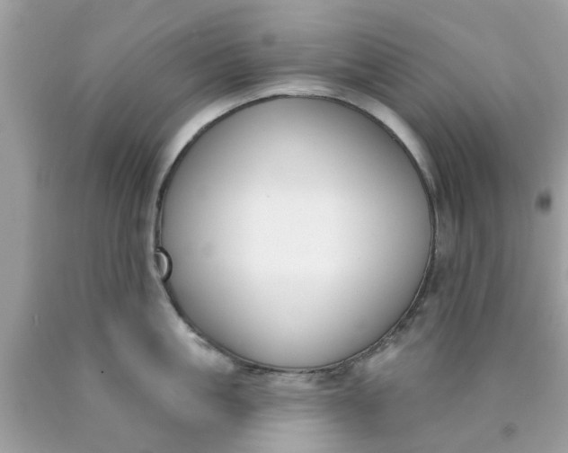 X0000090420861200707272109