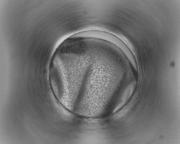 X0000090420862200707272109