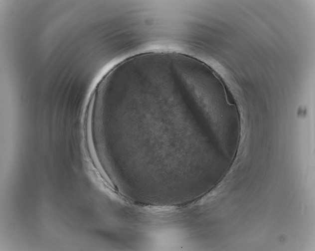 X0000090420864200707272109