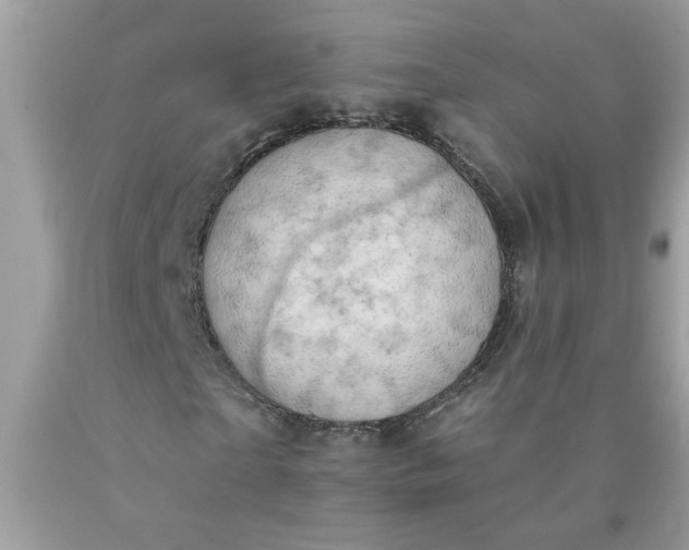 X0000090420865200707272108