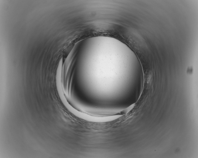 X0000090420868200707272108