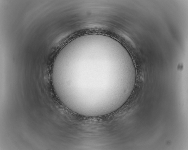 X0000090420869200707272108