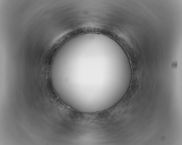 X0000090420870200707272108