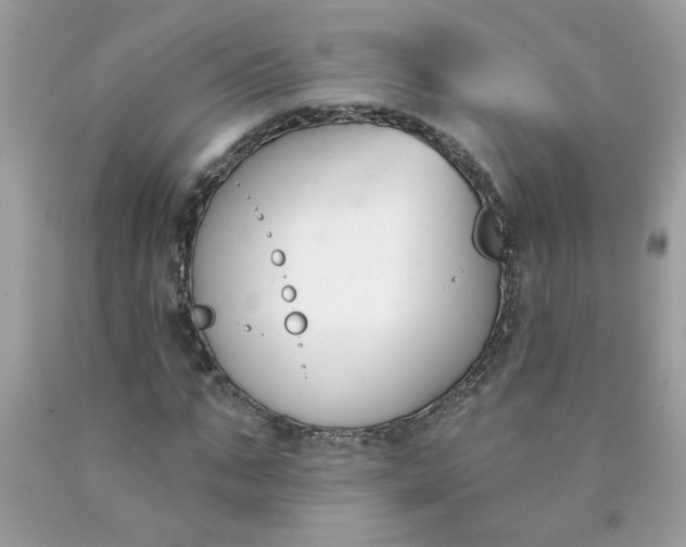 X0000090420871200707272108