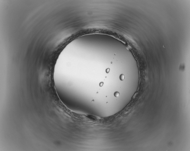 X0000090420872200707272108