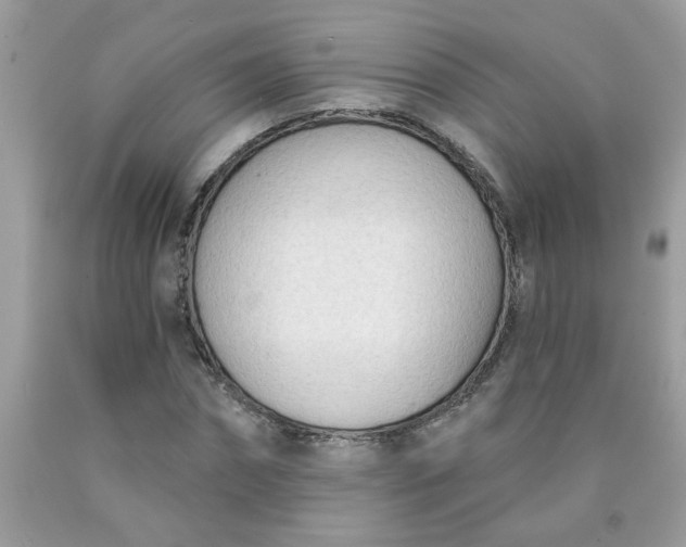 X0000090420874200707272108