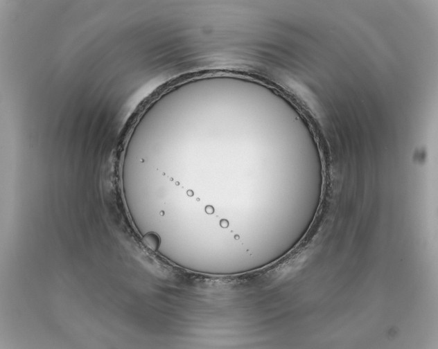 X0000090420875200707272108