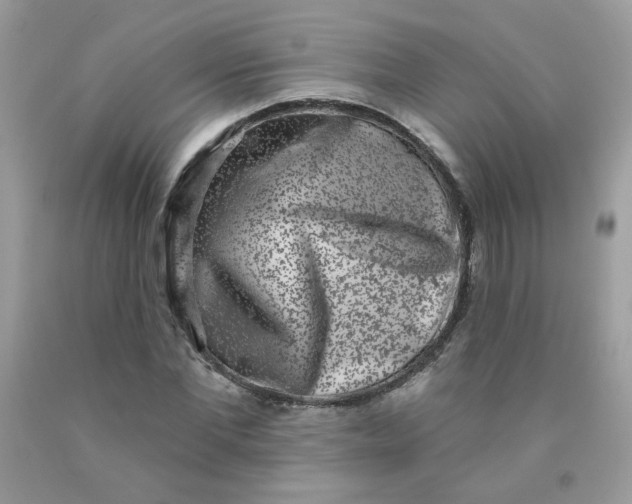 X0000090420877200707272108