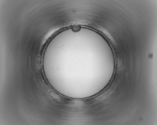 X0000090420878200707272108