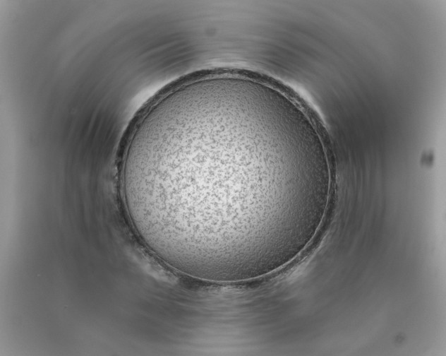 X0000090420879200707272108