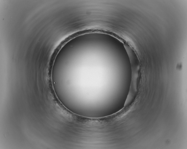 X0000090420880200707272108