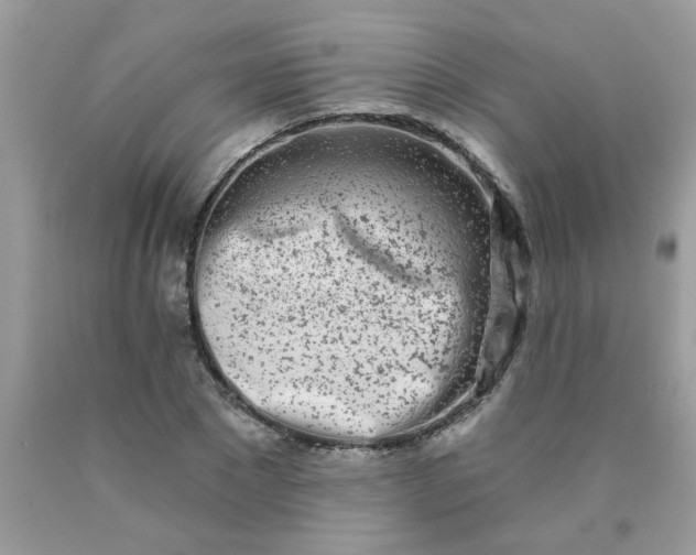 X0000090420881200707272108