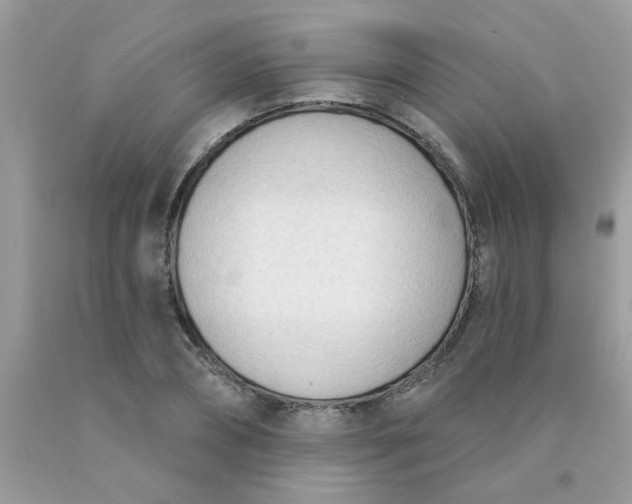 X0000090420882200707272108