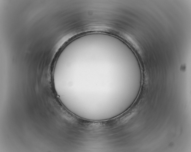 X0000090420883200707272108