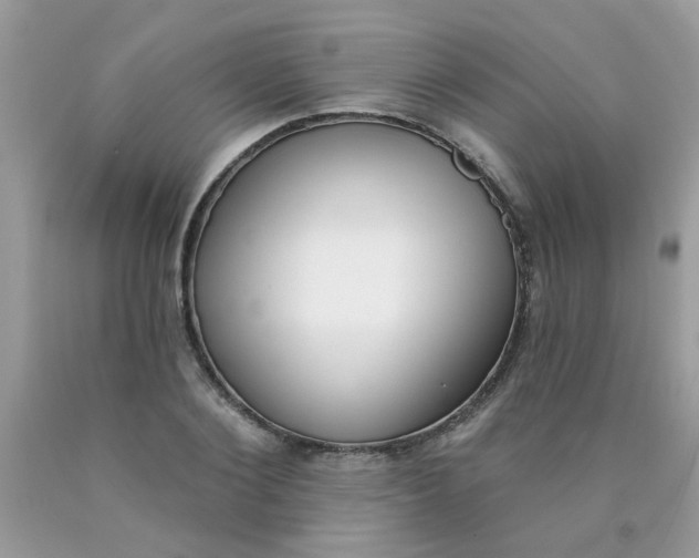 X0000090420884200707272108