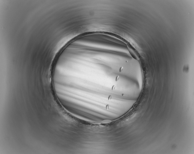 X0000090420885200707272108