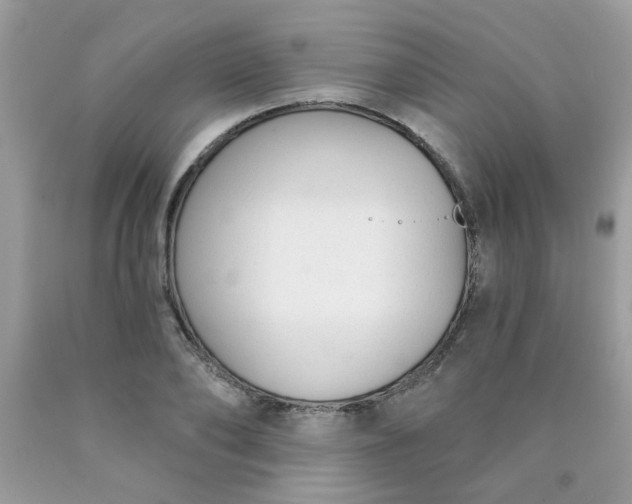 X0000090420886200707272108