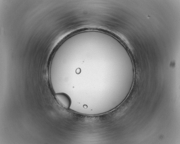 X0000090420887200707272108