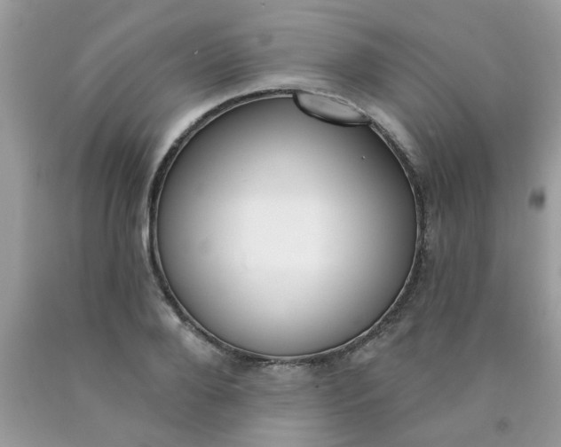 X0000090420888200707272108