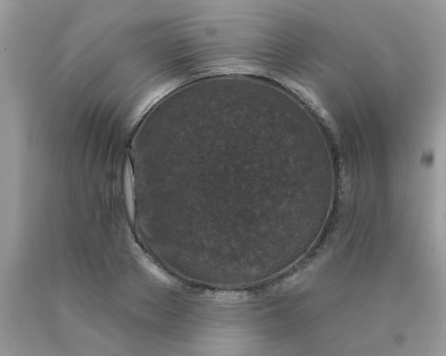 X0000090420889200707272108