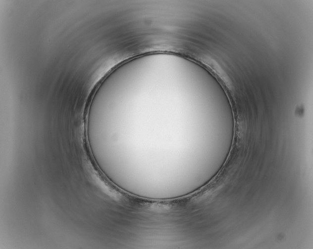 X0000090420890200707272108