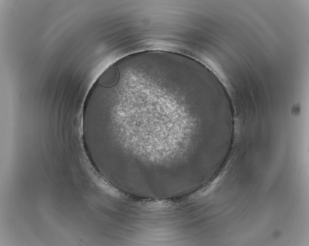 X0000090420891200707272108