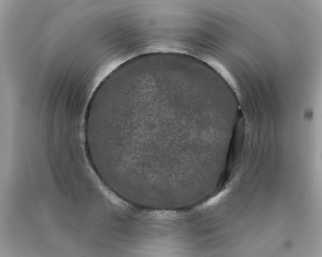 X0000090420893200707272108