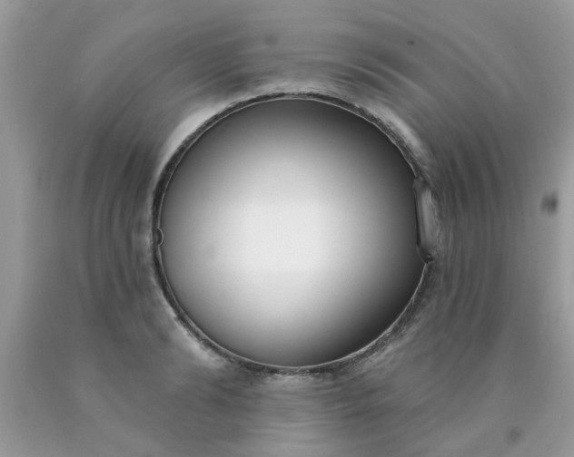 X0000090420894200707272108