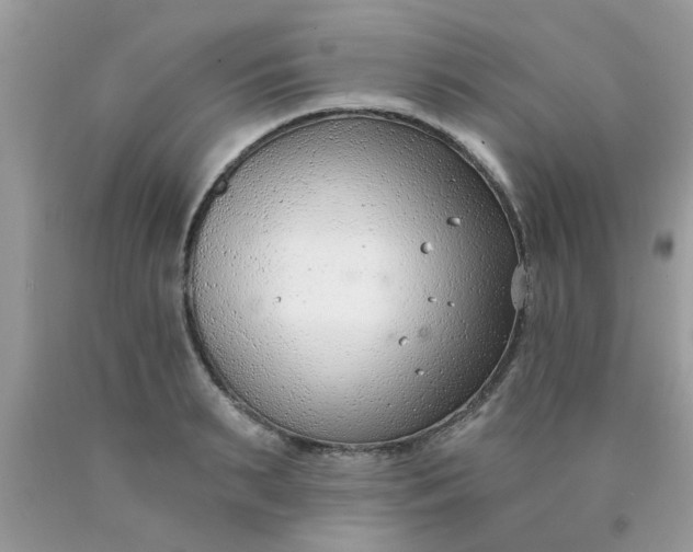 X0000090420895200707272108